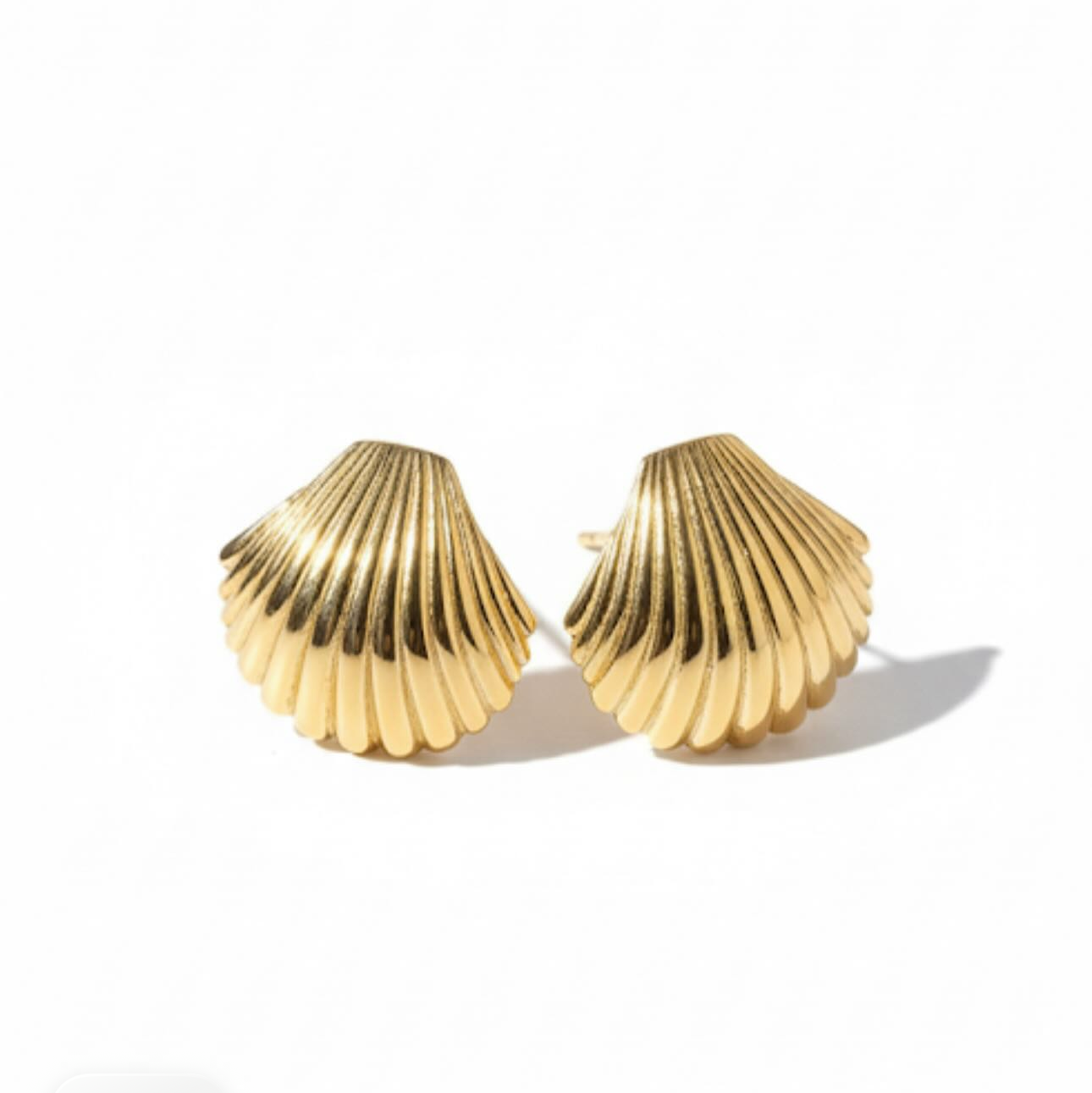 Seashell Earrings
