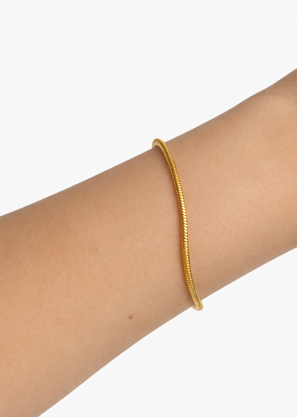 Snake Bracelete