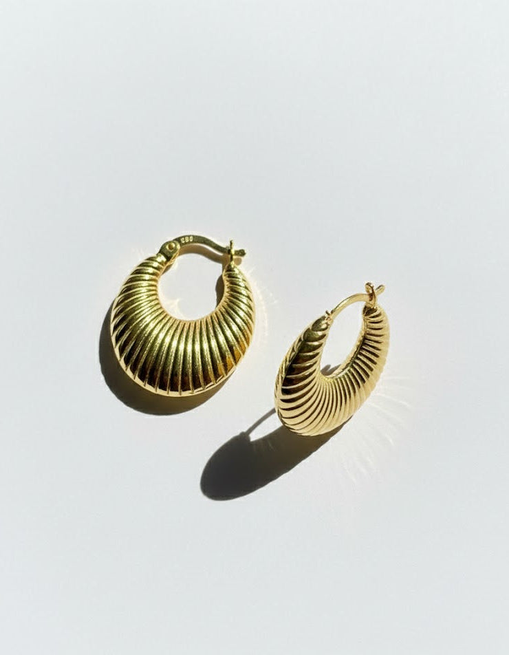Special Earrings